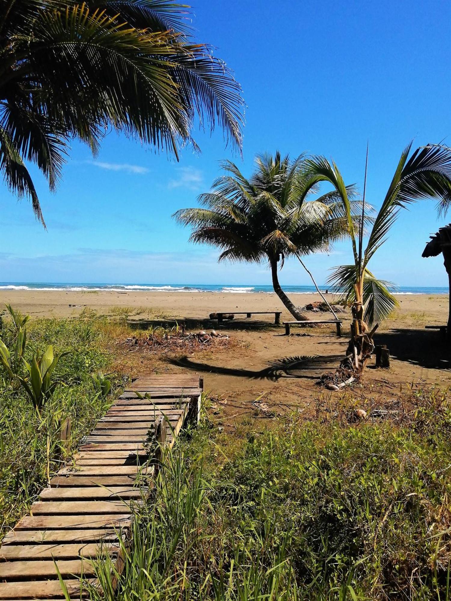 Hotel Kenaki Lodge Cahuita Eksteriør billede