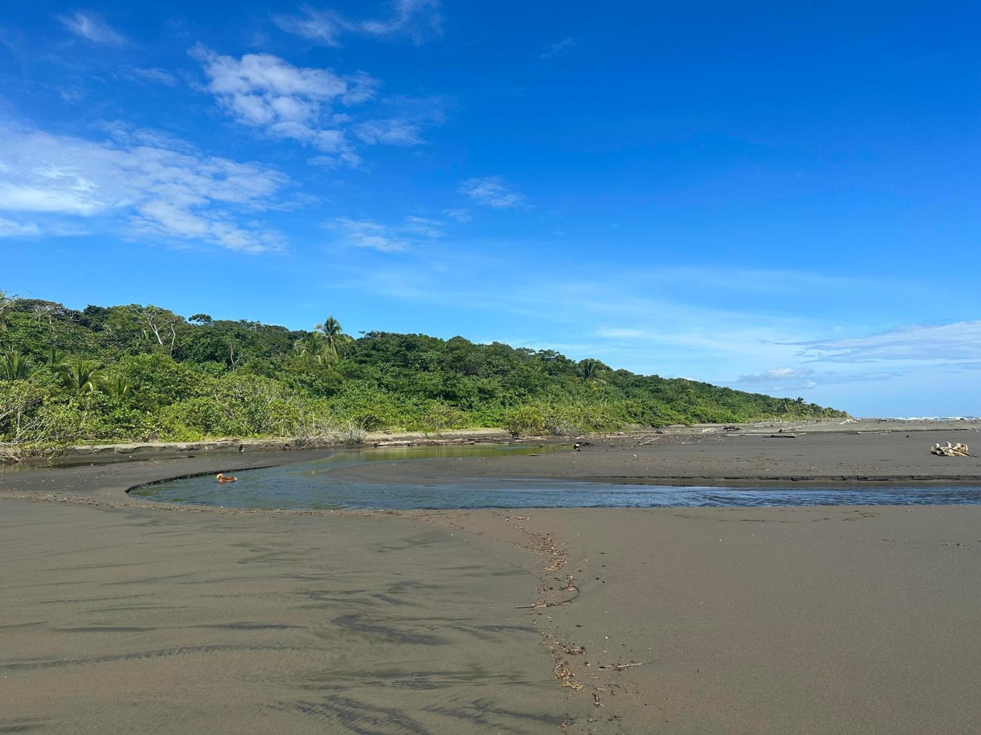 Hotel Kenaki Lodge Cahuita Eksteriør billede